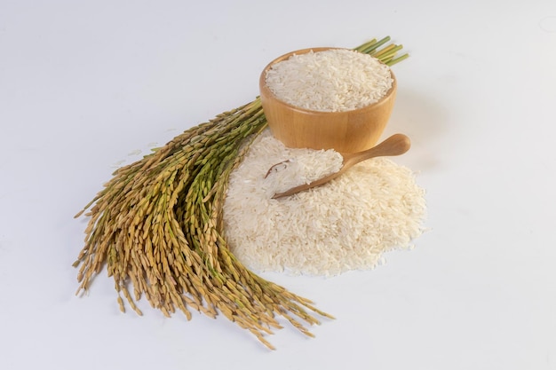 Jasmine rice in a sack and ears of rice on a white background