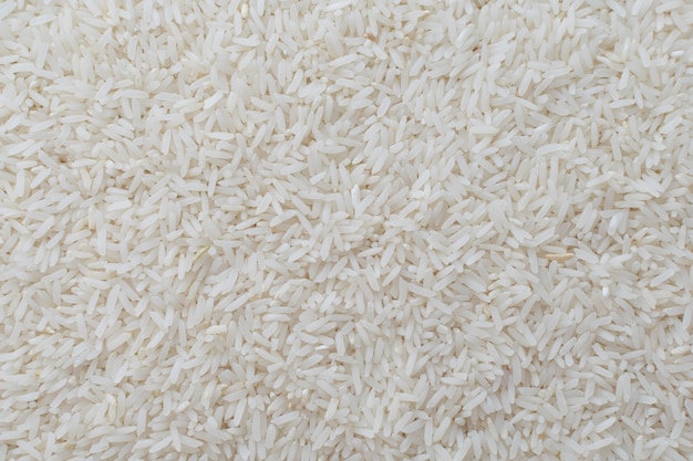 jasmine rice