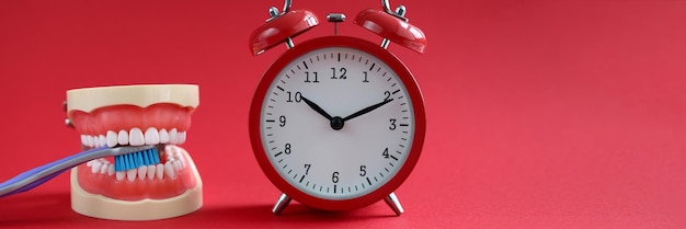 Jaw toothbrush and red alarm clock on red background daily evening and morning oral care