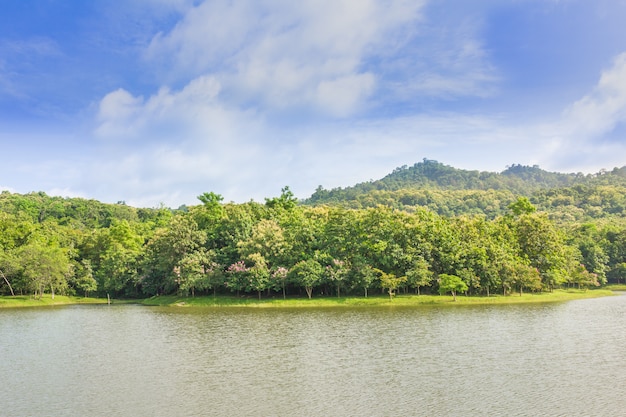 Jedkod Pongkonsao Natural study and Ecotourism center