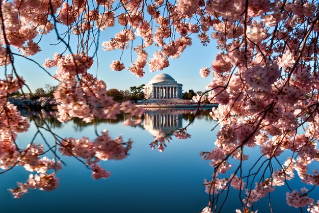 Jefferson Memorial Washington DC