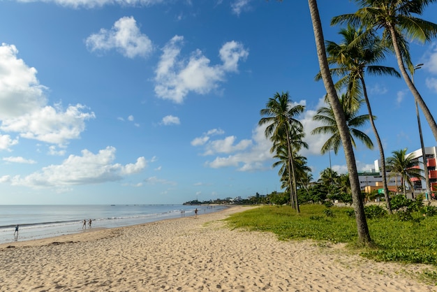 Joao Pessoa, Paraiba, Brazil on May 25, 2021. Manaira beach with coconut trees.