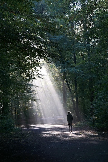 Jogger running in dark wood silhouetted against shaft of sunlight