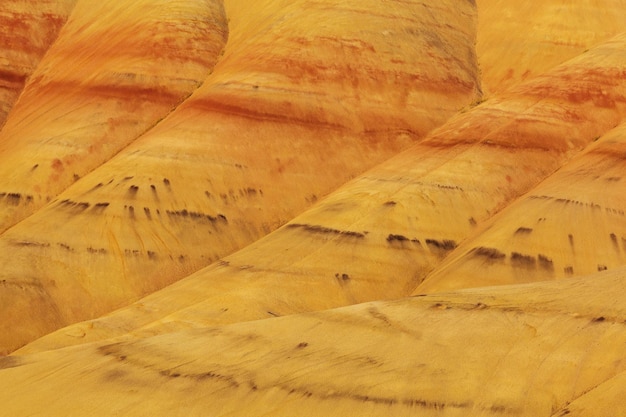 Photo john day fossil beds national monument oregon usa unusual natural landscapes