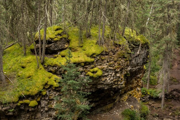 Johnston Canyon Falls Alberta Canada beautiful waterfall in the gorge