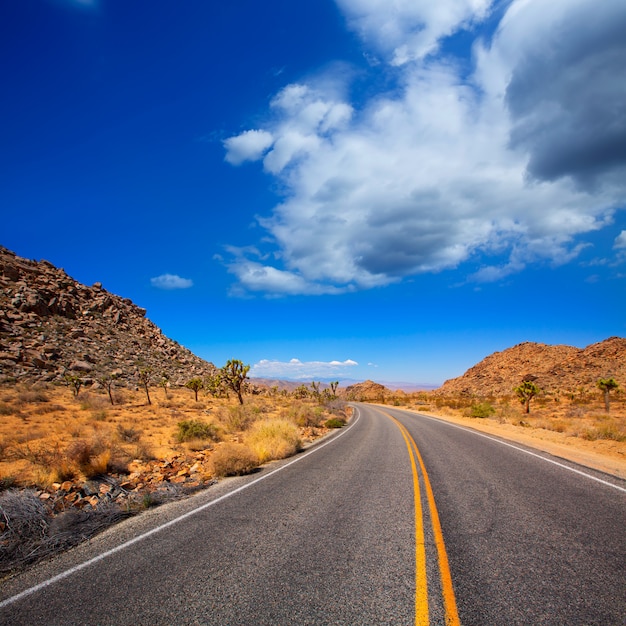 Joshua Tree boulevard Road in Yucca Valley desert California