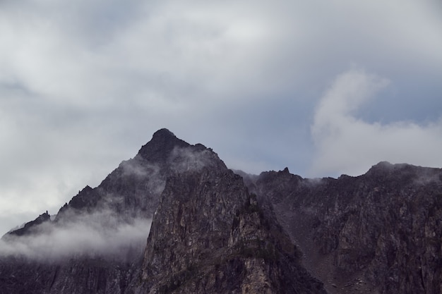 Journey on foot through the mountain valleys, The beauty of wildlife, Altai