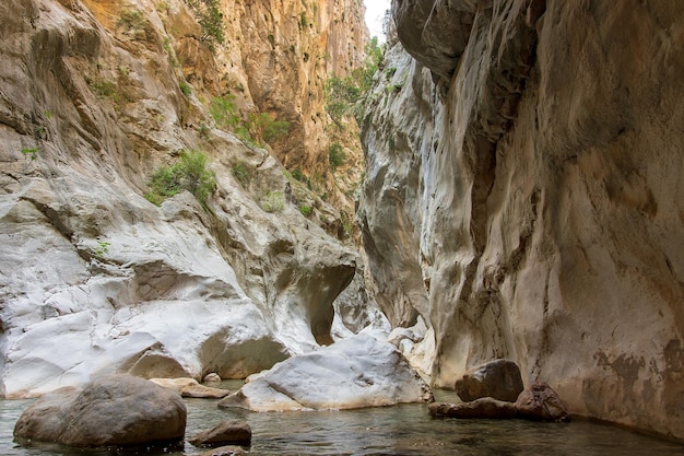 Journey through the mountains through the gorge and canyons Mountain river flowing through the cany