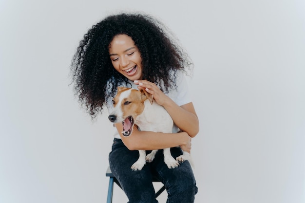 Joyful African American woman plays with pedigree dog dressed in casual wear petting favourite pet isolated over white background sits on chair Positive human expressions Friendship concept