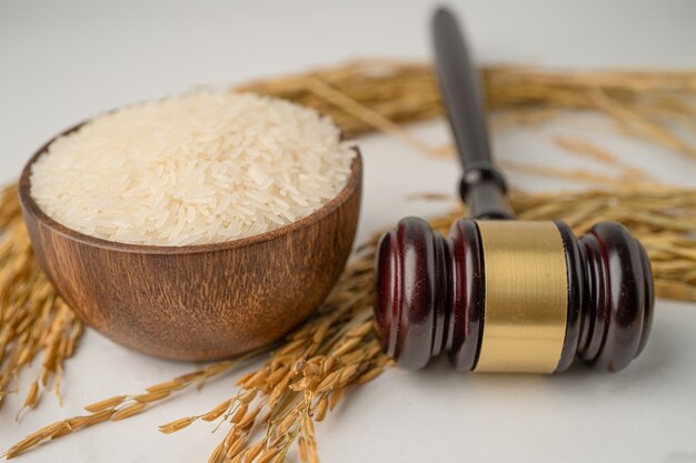 Judge gavel hammer with good grain rice from agriculture farm. Law and justice court concept.