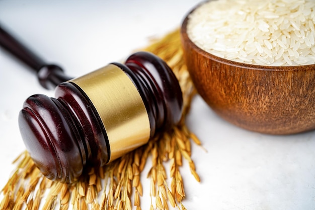 Judge gavel hammer with good grain rice from agriculture farm Law and justice court concept