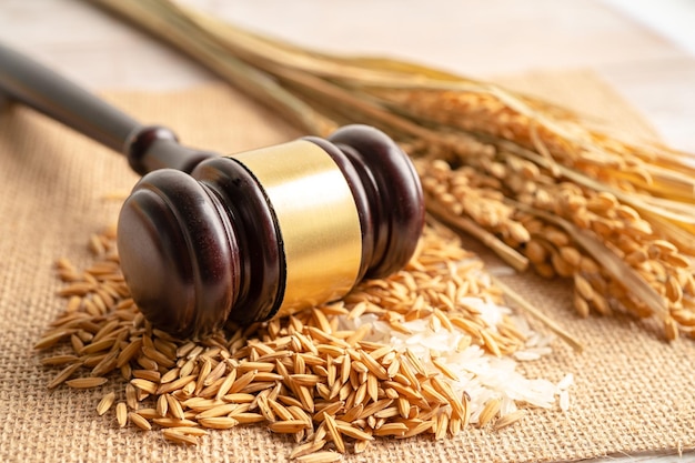 Judge gavel hammer with good grain rice from agriculture farm Law and justice court concept