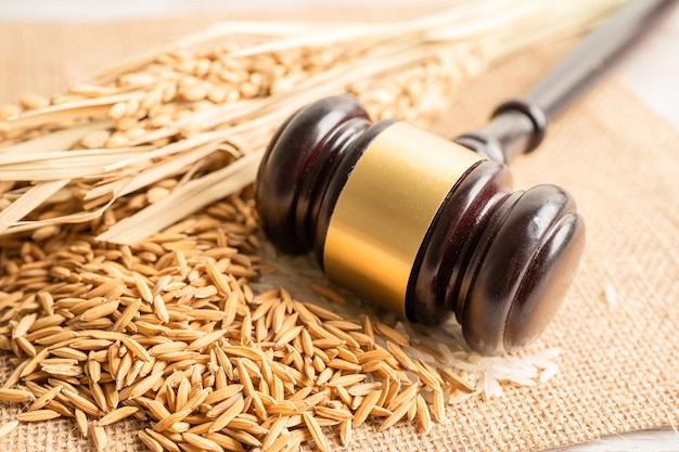 Judge gavel hammer with good grain rice from agriculture farm Law and justice court concept