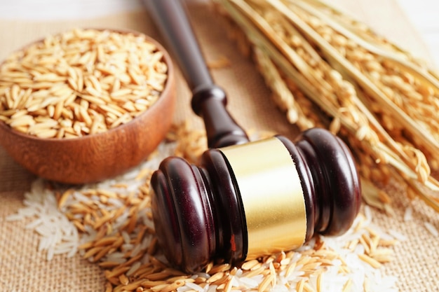 Judge gavel hammer with good grain rice from agriculture farm Law and justice court concept