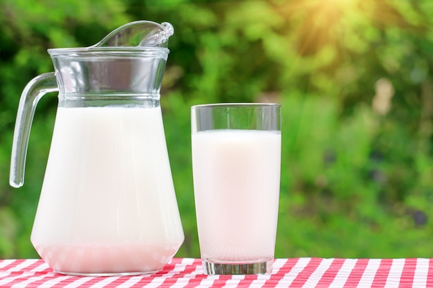 Jug and a glass of milk on a red checkered tablecloth