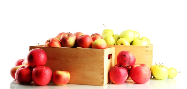 Juicy apples in wooden crates isolated on white