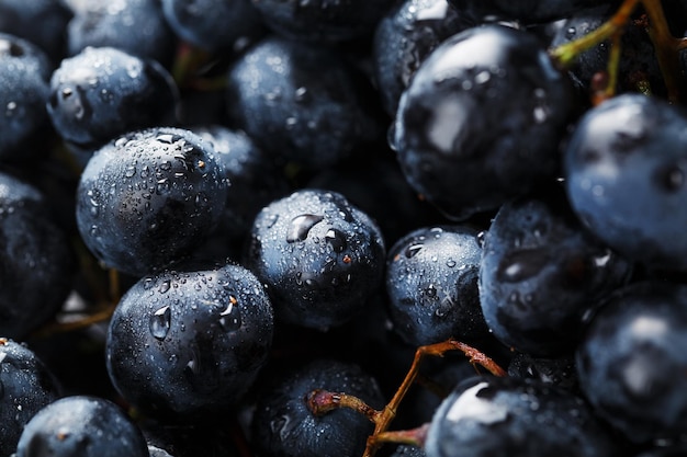 Juicy fruits of black ripe grapes close-up as texture.