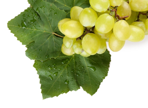 Juicy grape with leaf isolated on white close up