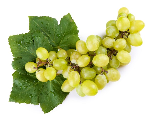 Juicy grape with leaf isolated on white