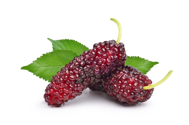 Juicy Mulberry fruits with green leaves isolated on white background.