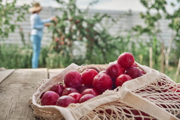 Juicy plums in eco friendly string eco mesh bag on a wooden background and woman harvesting in the f