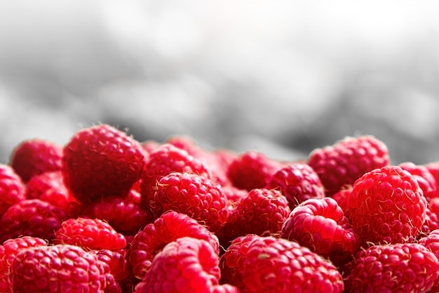 Juicy red ripe raspberries on grey