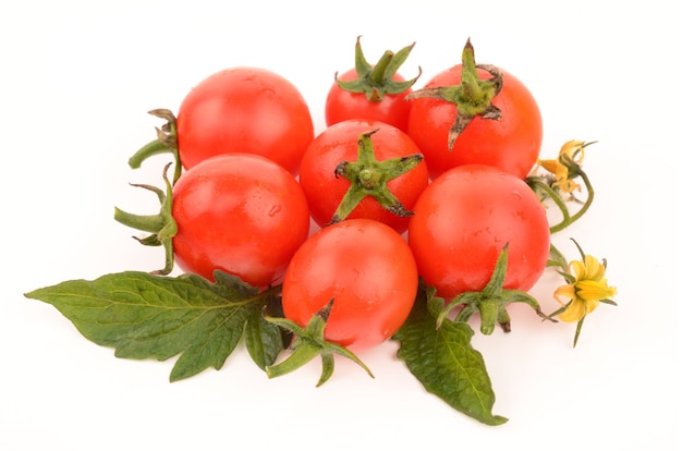 Juicy tomatoes isolated on white