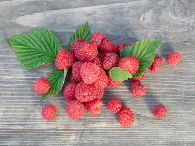 Juicy wild raspberry lies on with leaves on a wooden