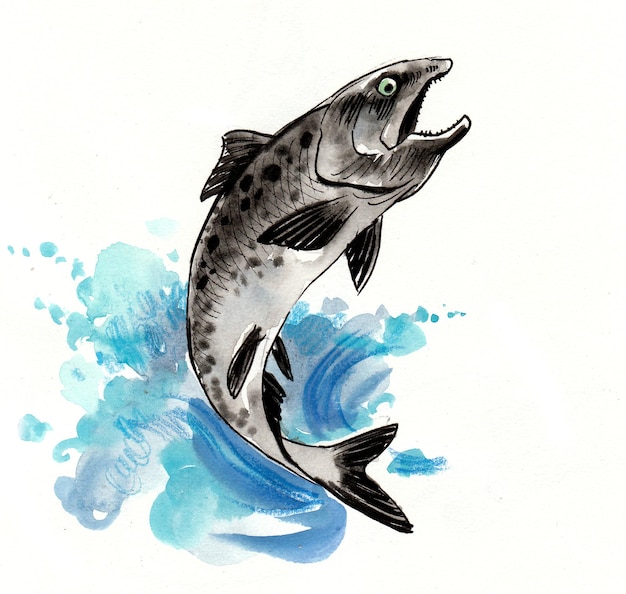 Jumping salmon fish. Ink and watercolor drawing