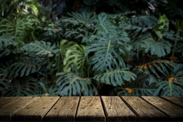 Jungle table background Rustic wooden table against the backdrop of tropical plants palms and jungle