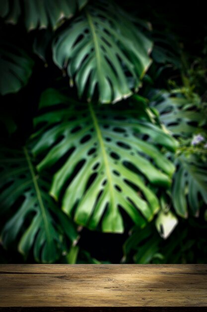 Jungle wall background Green tropical palm leaves with monstera foliage forest High quality photo