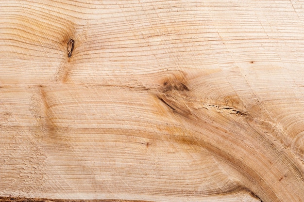 Juniper wood texture background with old natural pattern. Grunge surface rustic wooden backdrop for template website poster or concept design.