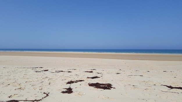 Just empty sand beach with nobody in summer day