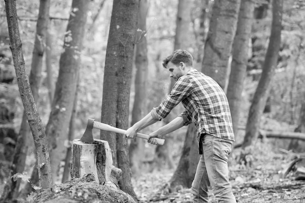 Just one hit chopping and splitting firewood with axe lumber worker in wood spend picnic weekend in forest man ready for splitting wood and cutting firewood with axe prepare to chop down tree