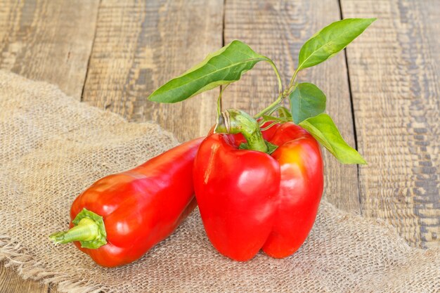 Just picked ripe red bell peppers lying on piece of sackcloth on wooden boards. Bulgarian or sweet peppers.