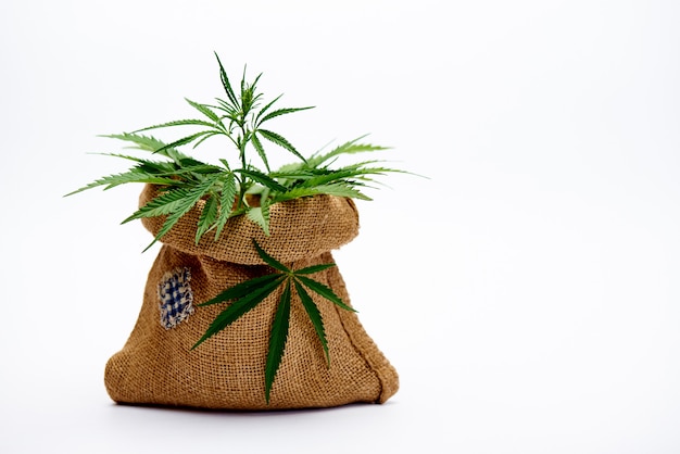 Jute bag with cannabis leaves on a white space.