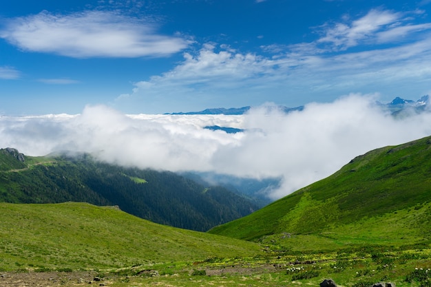 Kackar mountains Rize  Turkey