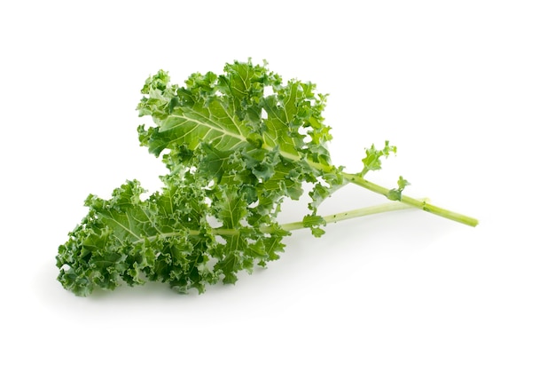 Kale isolated on white surface