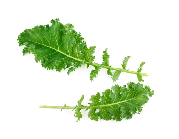 Kale isolated