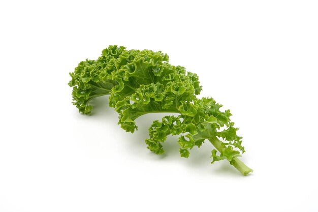 Kale leaf salad vegetable isolated on white background Creative layout made of kale closeup