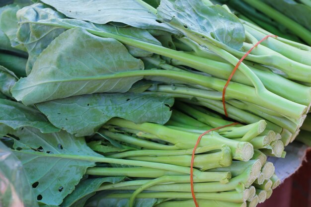 Kale at the market