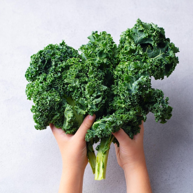 Kale salad leaf in kids hands Grey background Close up