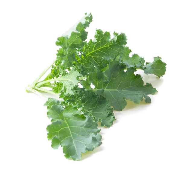 Kale vegetables isolated on white background