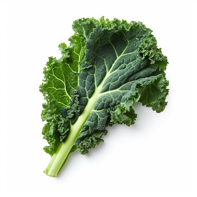 Kale on White Background