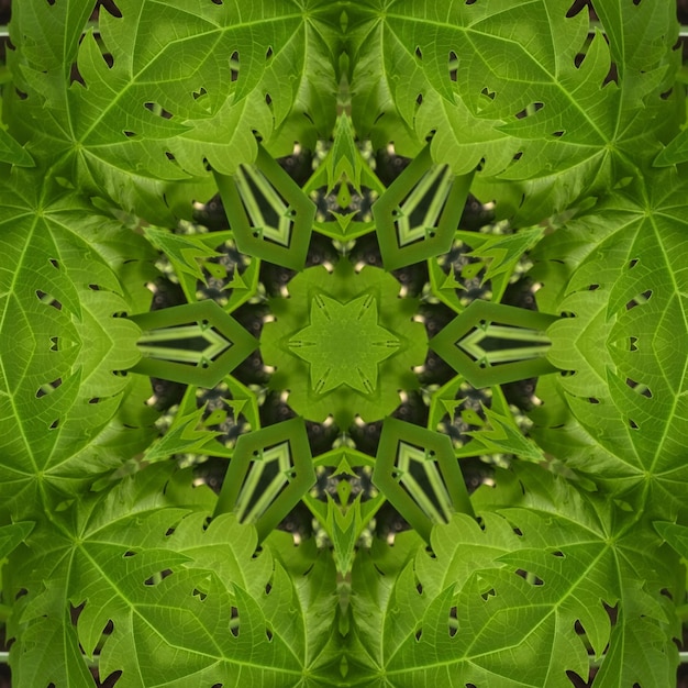 A kaleidoscope of green leaves is made up of a circular pattern.