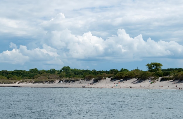 Kaliningrad region amber coast summer seascape of white beach with seasonal vegetation Baltic Sea Baltic Spit cover for notebooks desktop place for text baltiysk russia