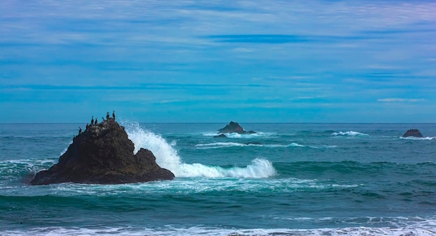 Kamchatka peninsula pacific ocean waves and rocks