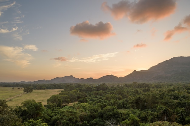 Kandalama national park, Dumbulla, Sri Lanka