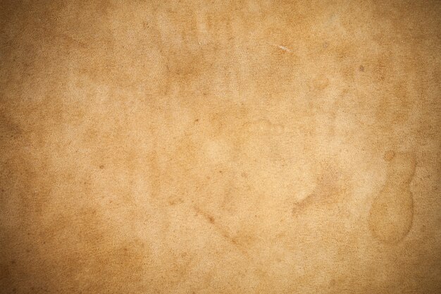 Kangaroo leather closeup background.