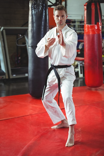 Karate player performing karate stance